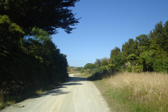 DSC01263