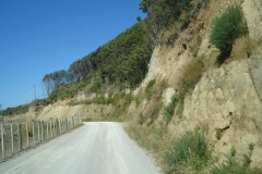 DSC01264