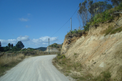 DSC01265