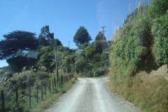 DSC01267