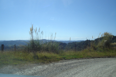 DSC01268