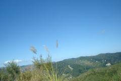 DSC01269
