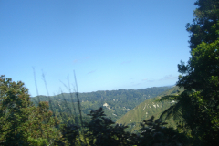 DSC01271