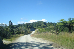 DSC01272