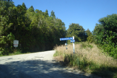 DSC01273