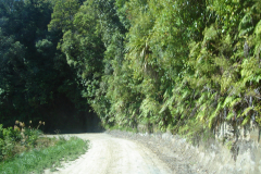 DSC01274