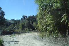 DSC01275