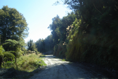 DSC01278
