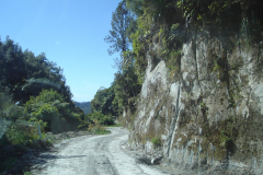 DSC01281