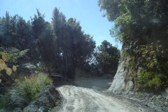 DSC01282