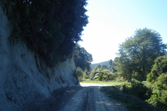 DSC01289