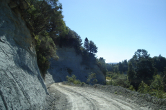 DSC01291
