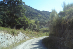 DSC01317