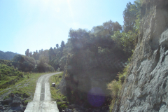 DSC01319