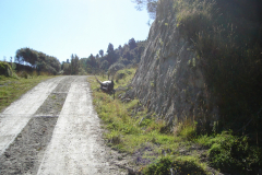 DSC01322