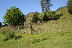 DSC01328
