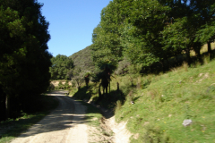 DSC01333