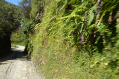 DSC01337