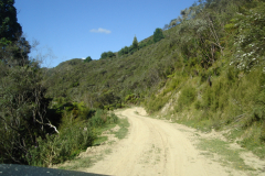 DSC01339