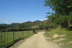 DSC01341