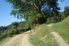 DSC01342