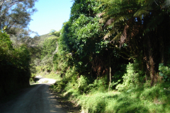 DSC01343
