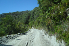 DSC01344