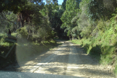 DSC01345