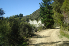 DSC01347