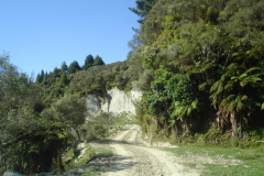 DSC01348
