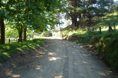 DSC01350
