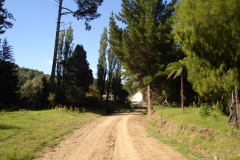 DSC01352