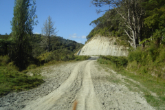 DSC01353
