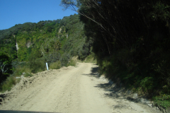 DSC01354