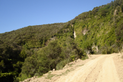 DSC01355
