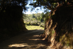 DSC01362