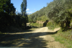 DSC01365