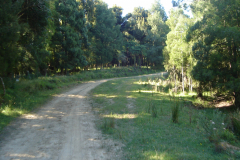 DSC01366