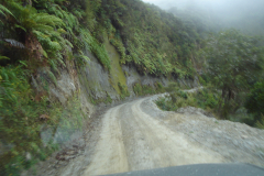 DSC01367