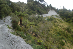 DSC01373