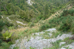 DSC01375