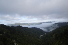 DSC01378