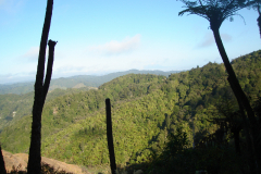 DSC01379