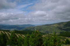 PC00361