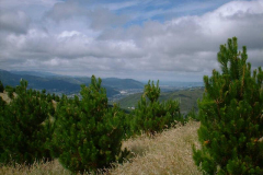 PC00363