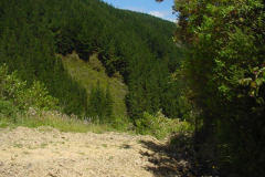 PC00378