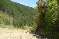 PC00379