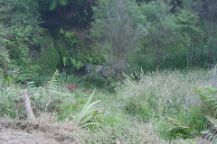 PC00423