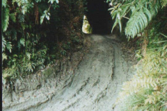 PC00463