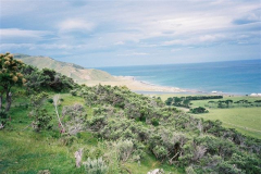 PC00099